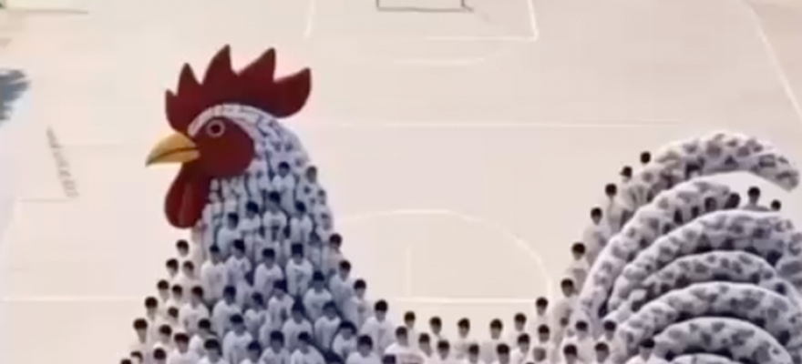 Una maravilla en la playa