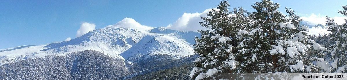 Dr. José Andrés Sancho Llerandi