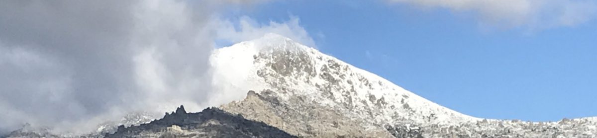 Dr. José Andrés Sancho Llerandi